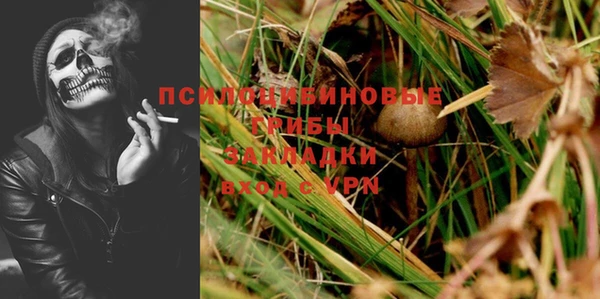 винт Аркадак