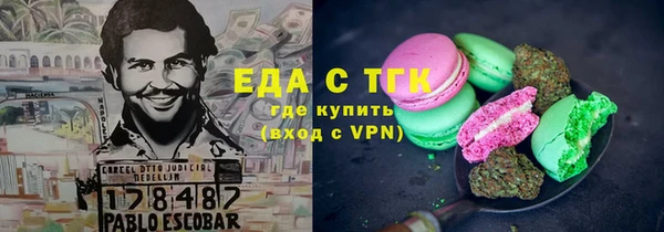 гашик Гусев