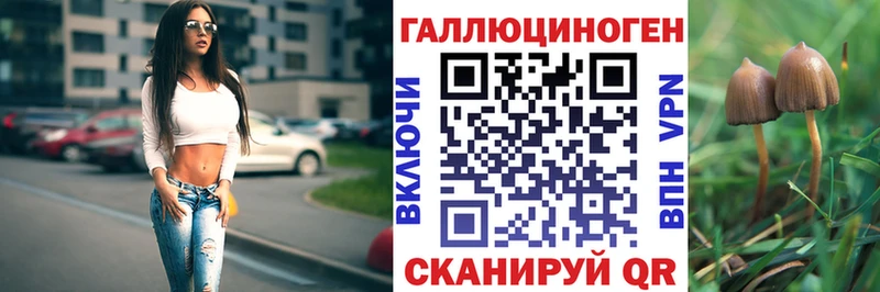 Галлюциногенные грибы Psilocybine cubensis продажа наркотиков Белово