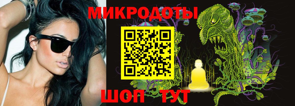 Псилоцибиновые грибы Psilocybe  купить закладку  Белово  Галлюциногенные грибы Cubensis 