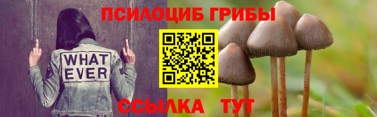 Галлюциногенные грибы прущие грибы Белово